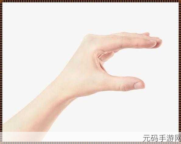 扣那里的手势图自己,轻触指定区域完成手势验证