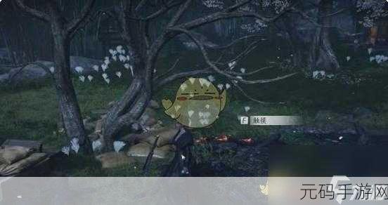 燕云十六声手游资讯,揭秘伊刀墓位置与游戏新探索