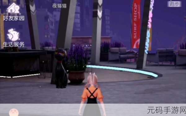 以闪亮之名夜猫猫刷新时间位置大全