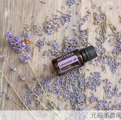 国产精油一区二区,精灵宝藏大陆 I/II