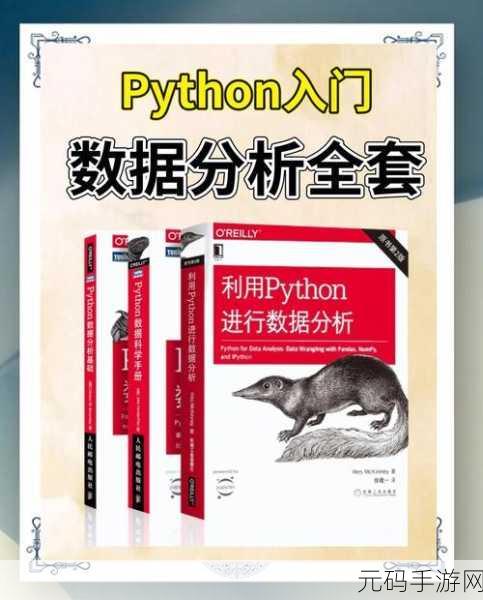 Python 数据分析精准之道,技巧与实战秘籍