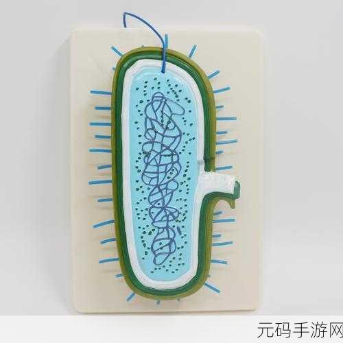 生物老师让班长当教学器材,班长变身稀有SSR教具