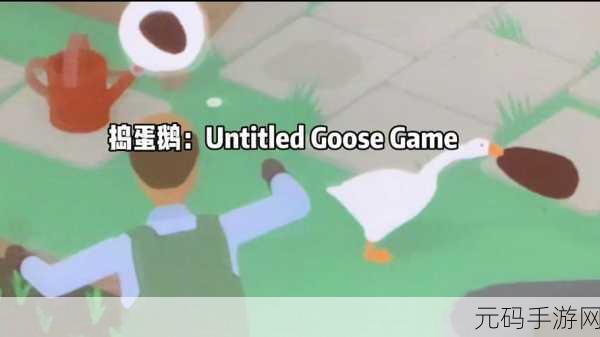 未命名的鹅戏双人模式新手入门全攻略,解锁欢乐新体验