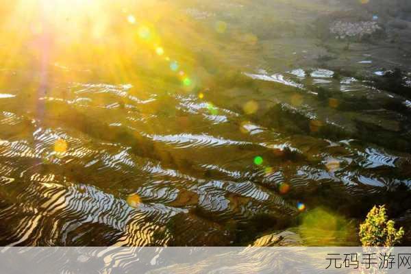 大地资源网中文在线官网,大地资源-海量资源随心玩