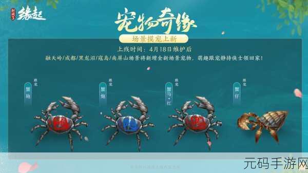 剑网3手游路投石宠物奇遇,全新版本更新带来惊喜