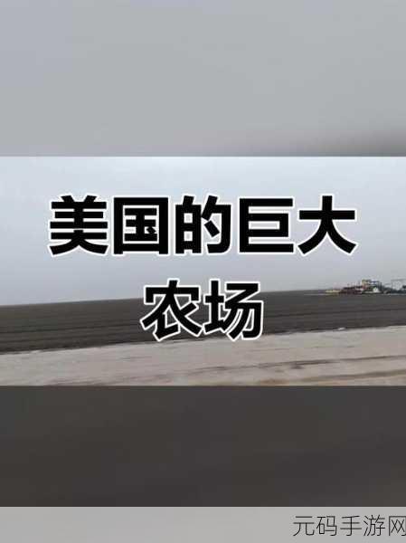 需要爸爸播种 美国,美国农场经营