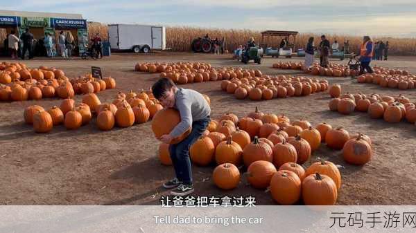 需要爸爸播种 美国,美国农场经营