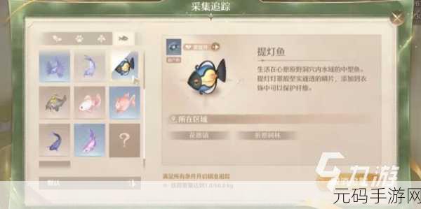 无限暖暖提灯鱼位置揭秘,探索神秘海域的奇幻之旅