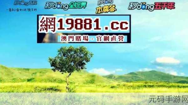 taijiu网站,太久棋牌