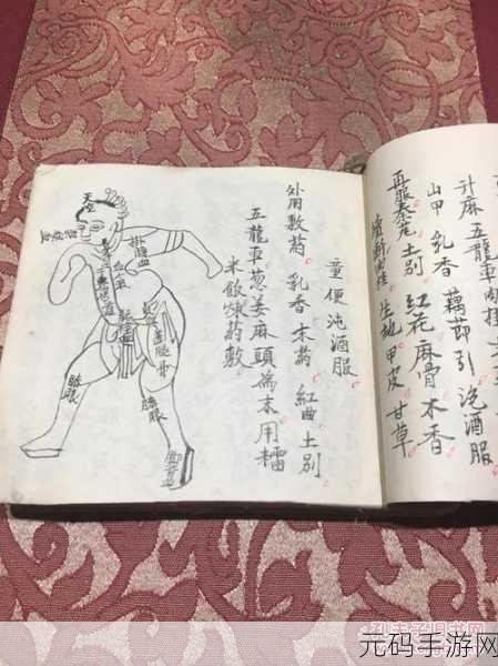 手游资讯,探索中药铺子经营策略,揭秘最赚钱药方与自制药方配方大全