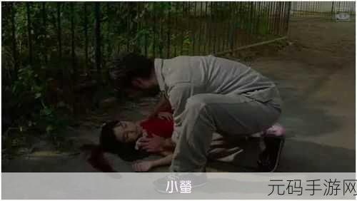 片子,精彩视频