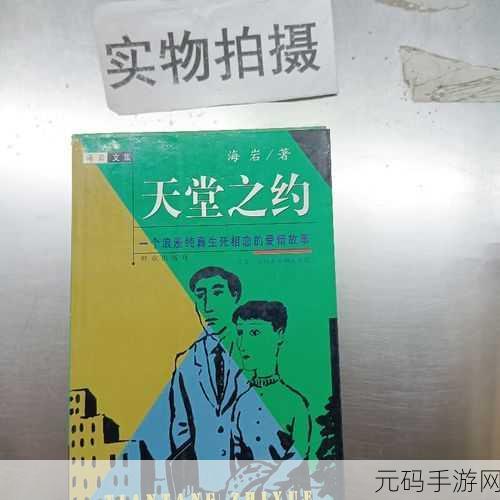 √中文天堂,天堂之约