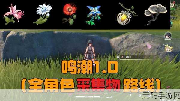 鸣潮龙吐珠采集攻略,全面解析与路线指引
