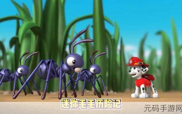 毛1卡1卡2卡3卡4，毛毛历险记