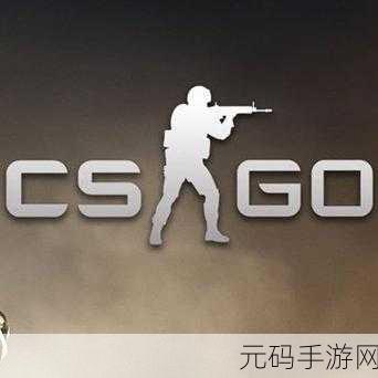 俄罗斯卖csgo的网站免费进入,CSGO皮肤交易平台推荐:免费入门指南