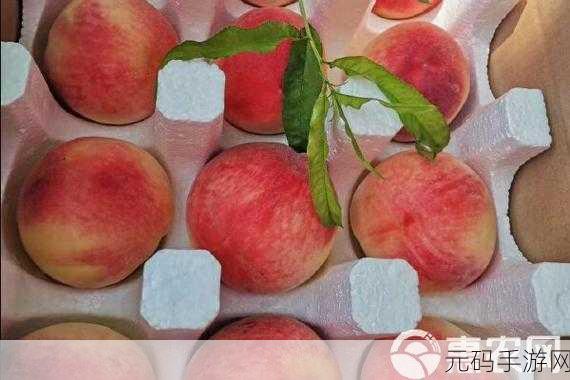 国精产品水蜜桃网站,水蜜桃农场:休闲种植冒险