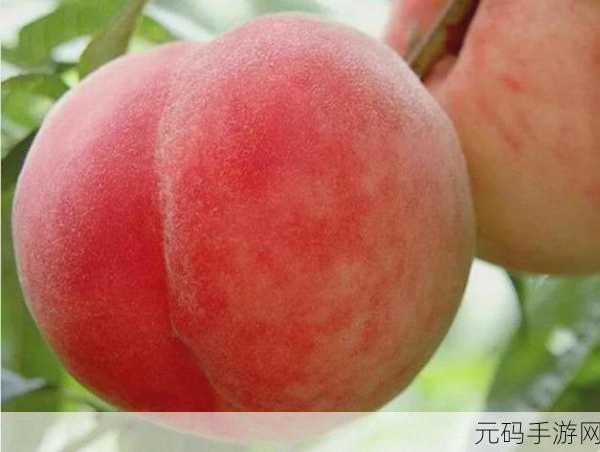 国精产品水蜜桃网站,水蜜桃农场:休闲种植冒险