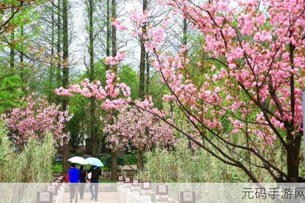 阴阳师晚樱烂漫飞花春归召唤活动盛大开启
