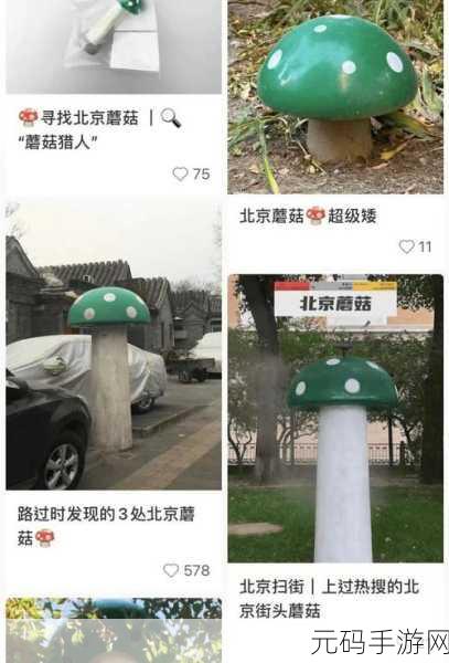 蘑菇51反差,蘑菇反差社交