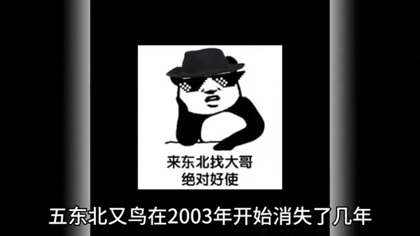17黑料吃瓜爆料在线,热门八卦消息社区