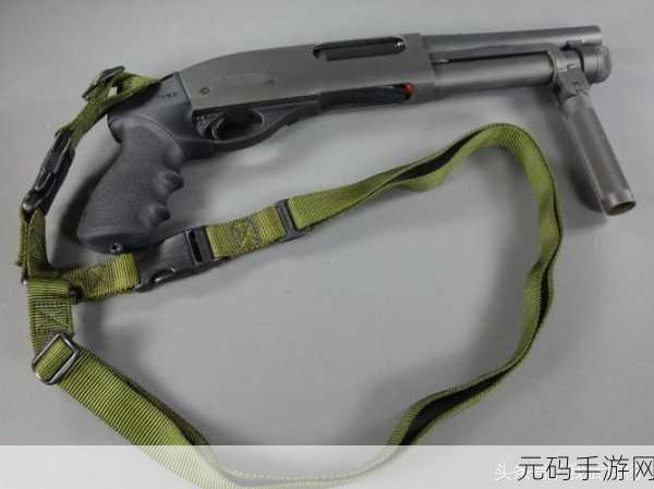 生化危机4重制版霰弹枪选择推荐，哪款霰弹枪最适合你？