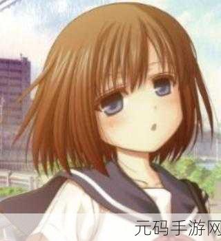 ehview,二次元漫画阅读器