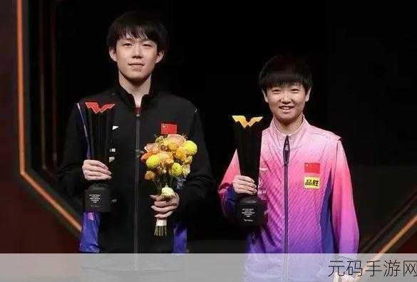 黄石乒乓球全锦赛,乒乓大师:黄石巅峰对决