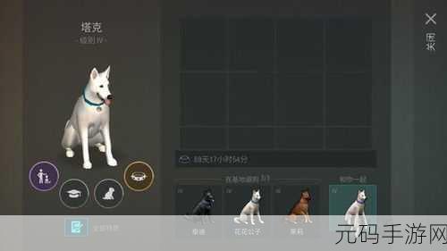 人狗大战Java代码大全最新版本更新内容介绍,宠物大乱斗:全新玩法攻略与版本更新一览