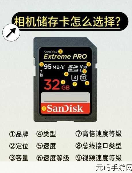 轻松找回金士顿 SD 卡误删照片,详细恢复教程大揭秘