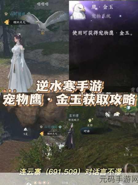 逆水寒手游宠物鹰金玉获得全攻略