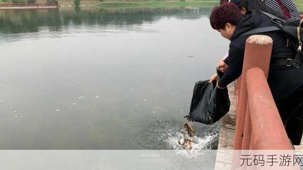 儿耕妈荒废的田,妈妈归来:重建家园