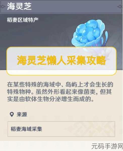 原神手游资讯,海灵芝购买、刷新与采集全攻略
