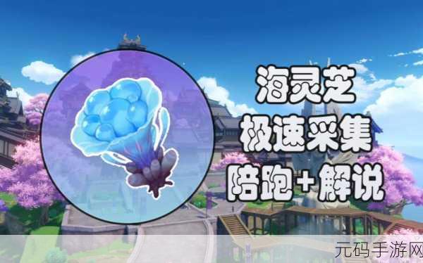 原神手游资讯,海灵芝购买、刷新与采集全攻略