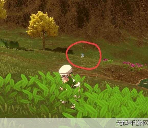宝可梦传说阿尔宙斯手游资讯,全面解析伊布刷新地点