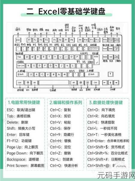 Word 表格制作秘籍,常见方法大揭秘