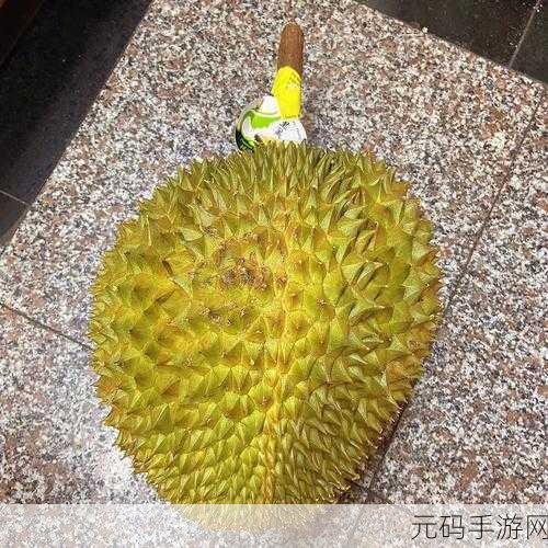 榴莲社区，榴莲星球