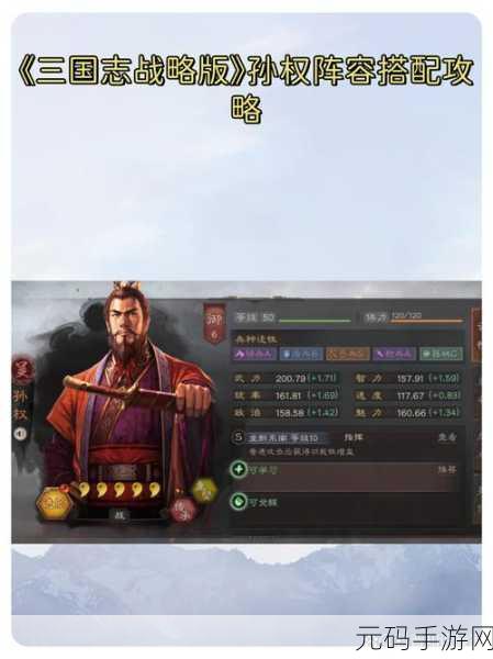 三国志战略版孙权战法搭配推荐2024