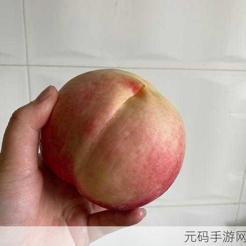 大坤坤戳别人桃子，偷戳萌宠桃子大作战