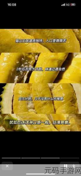 榴莲视频成人 在线下载,热带水果短视频