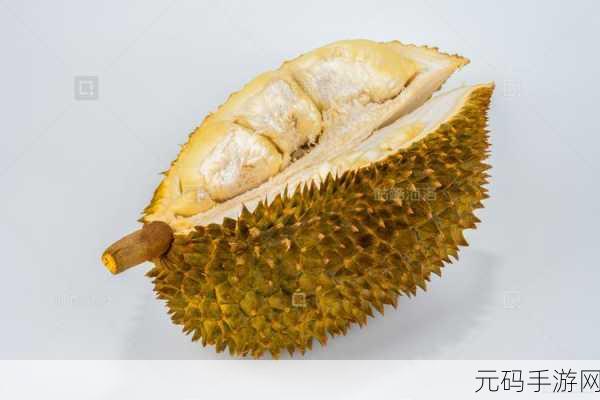 榴莲视频成人 在线下载,热带水果短视频