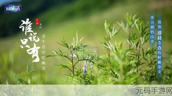 嫩草国产,新芽精品