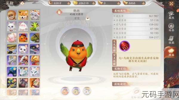 天龙八部2手游武当宠物携带推荐,打造最强战斗组合