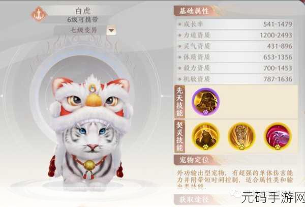 天龙八部2手游武当宠物携带推荐,打造最强战斗组合