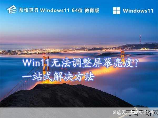 Win11 电脑亮度调节失灵?解决办法全在这里!