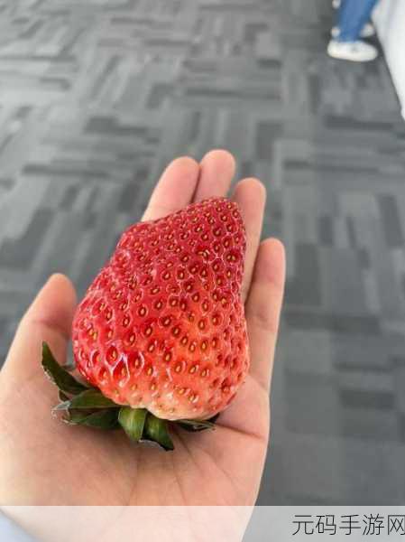 大草莓app，草莓玩玩