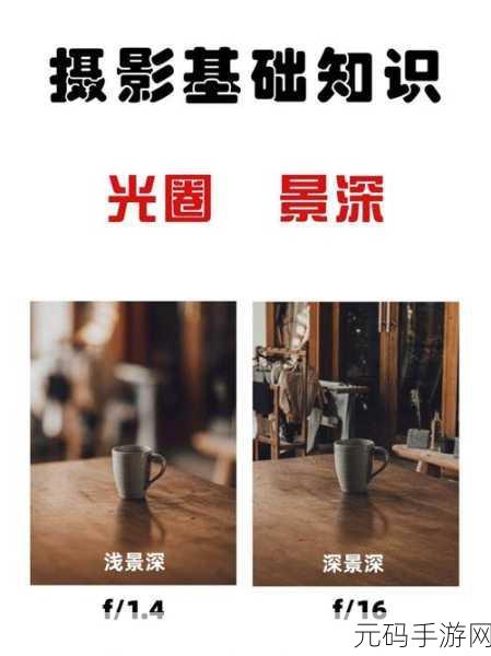 相机照片读取与恢复秘籍,轻松解决你的困扰