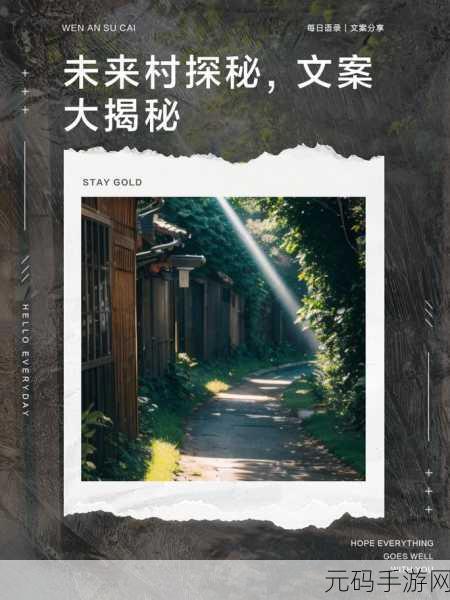 探秘向前 APP,全方位功能大揭秘