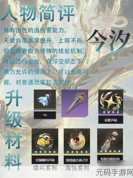 鸣潮四星佩枪奔雷装备图鉴深度解析,探索全新战斗体验