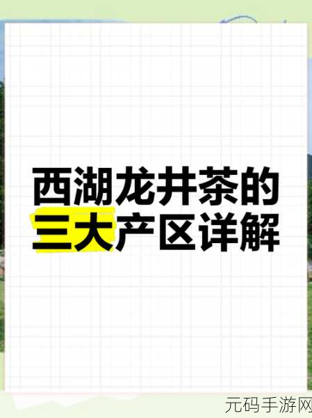 精产国品一二三产区的特点和意义,探索三大产区宝藏:解锁精品国货的独特魅力