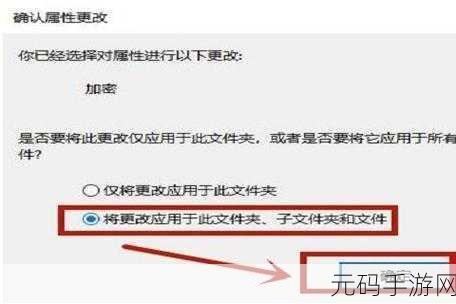 Win10 文件加密秘籍,全面保护您的数据安全